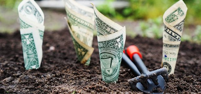 accountants Auckland