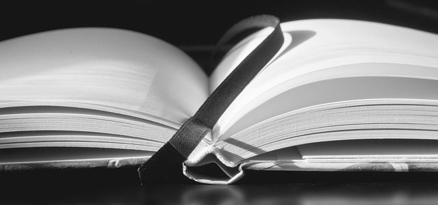 accounting and tax services